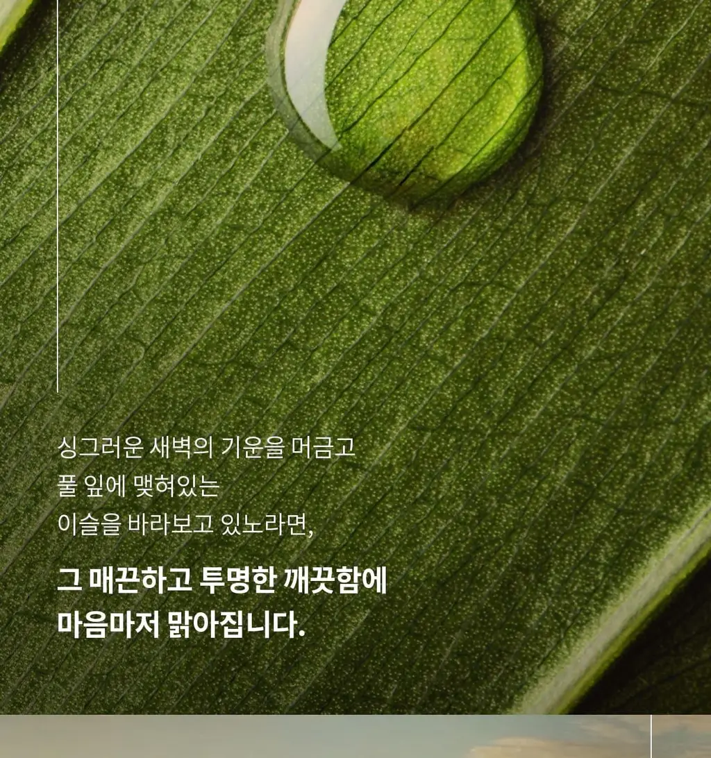 [NEW] 숨37 타임 에너지 브라이트 루미너스 크림 25ml 기획 (+10ml 증정) 상세페이지 5